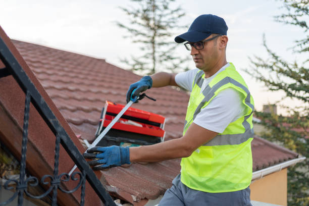 Trusted Louise, TX Insulation Experts